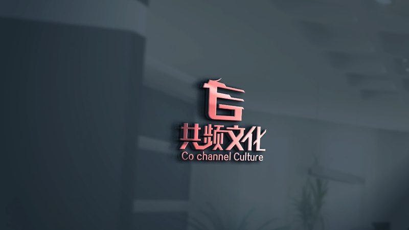 直播代运营服务：揭秘价格背后的价值考量