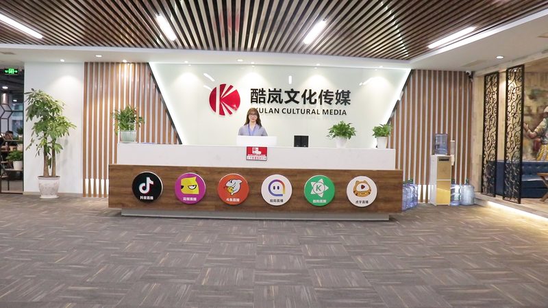 VI设计制作：揭秘企业品牌形象塑造的五大步骤
