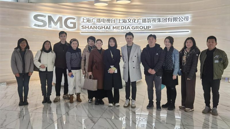 医疗三维动画：揭秘专业制作团队的秘密武器